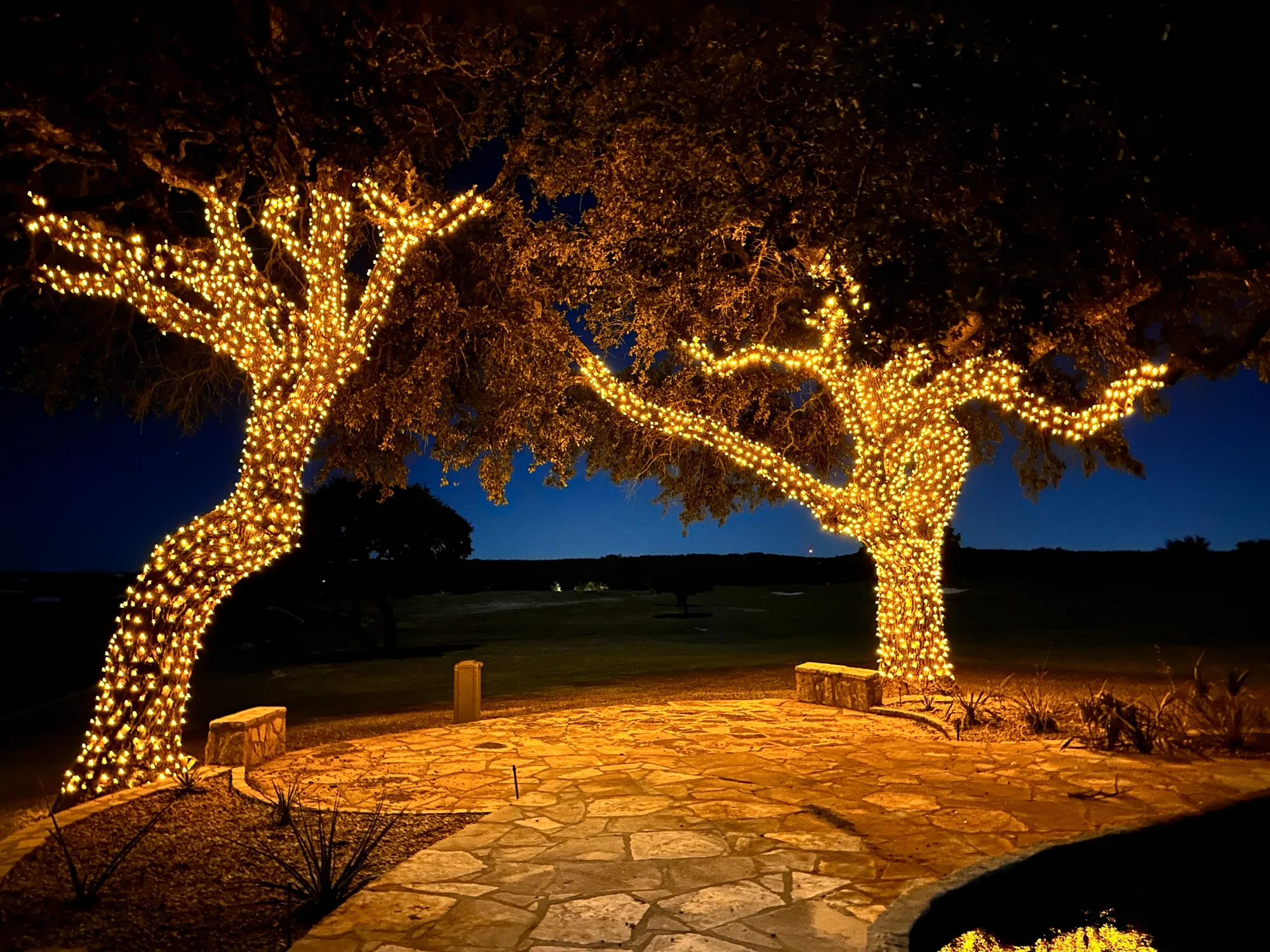 Trees & Landscaping